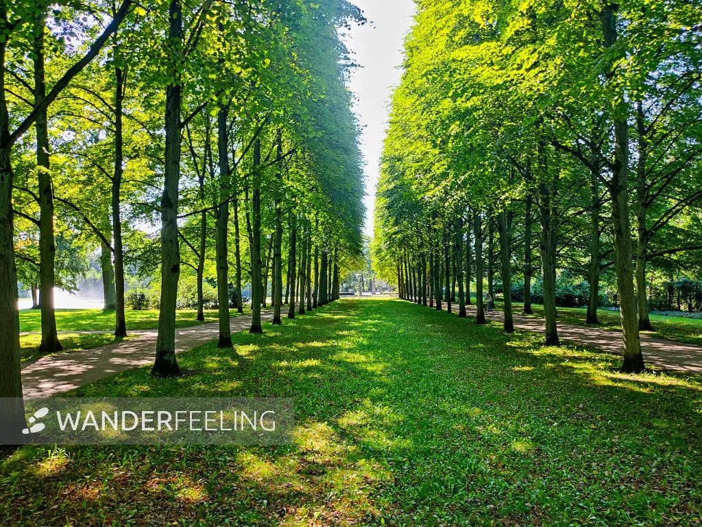 202308181-09 - Französischer Garten in Celle, Lüneburger Heide, Niedersachsen, Deutschland