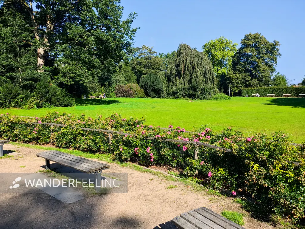 202308200-23 - Friedrichsberger Park in Barmbek, Hamburg, Deutschland
