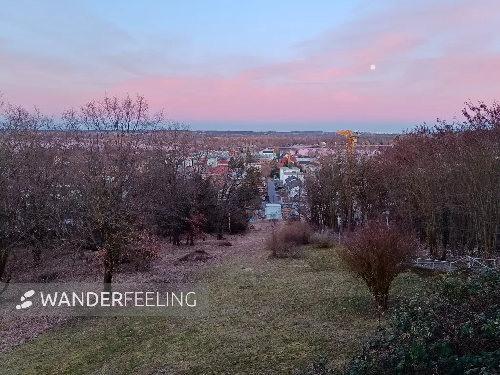 202603020-34 - Friedrichshöhe in Werder, Havelland, Brandenburg, Deutschland