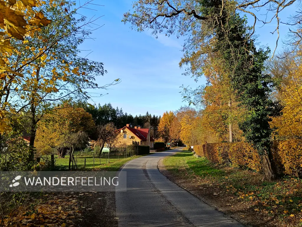 202511050-31 - Friedrichswalde, Mecklenburgische Seenplatte, Mecklenburg-Vorpommern, Deutschland