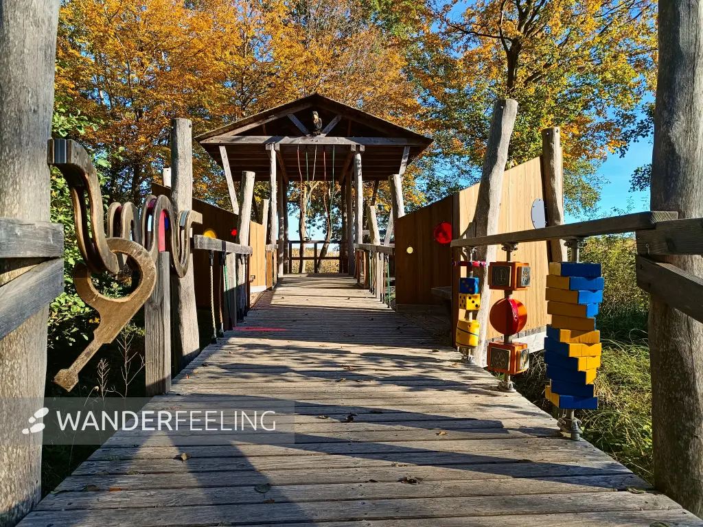 202510130-29 - Fritz-Reuter-Blick im Kurwald bei Krakow am See, Mecklenburgische Seenplatte, Mecklenburg-Vorpommern, Deutschland