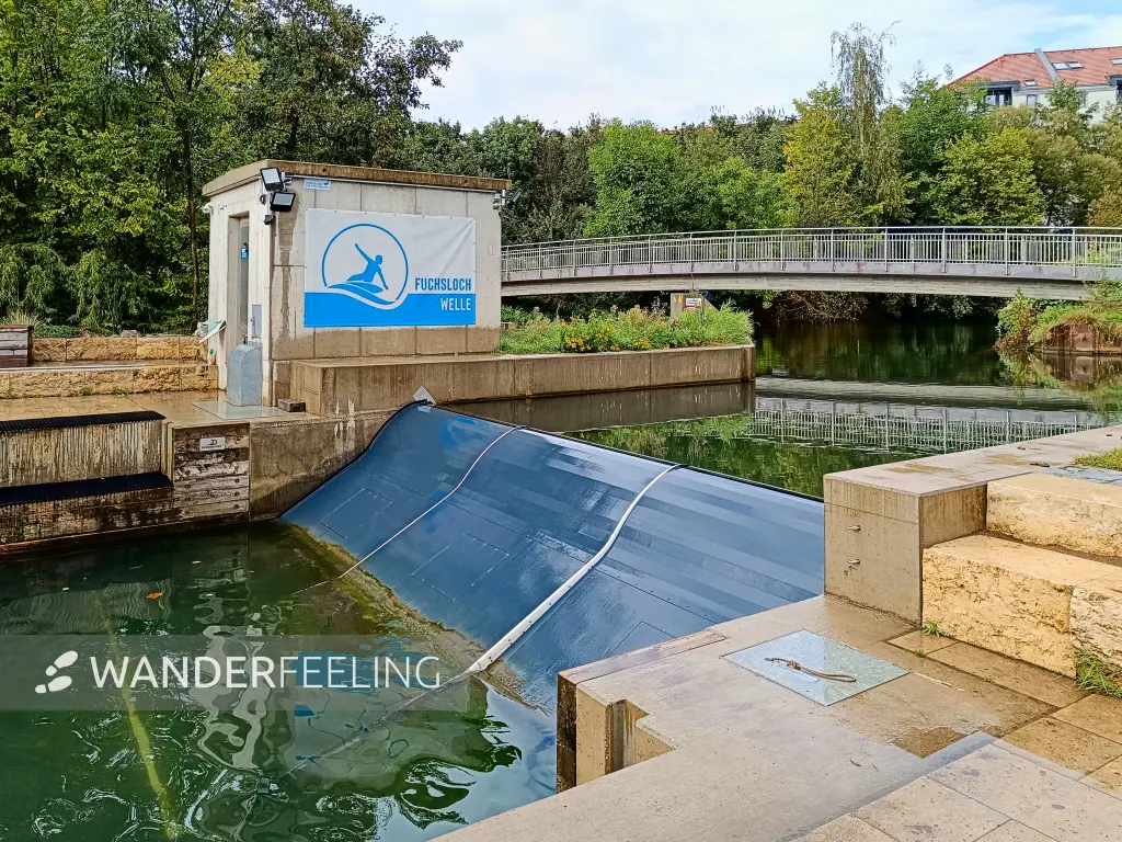 202409120-44 - Fuchslochwelle an der Pegnitz in Nürnberg, Franken, Bayern