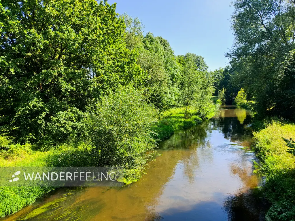 202308181-03 - Fuhse in Celle, Lüneburger Heide, Niedersachsen, Deutschland