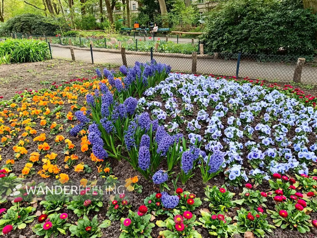 202404090-12 - Garten im Volkspark Wilmersdorf, Berlin, Deutschland