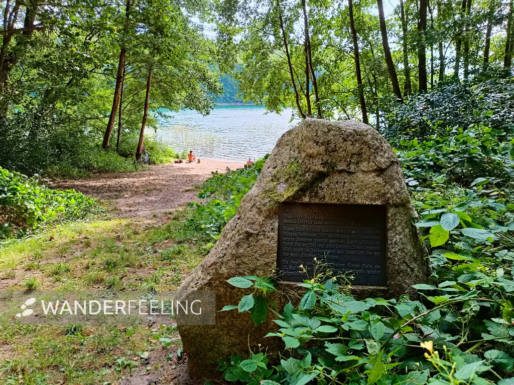 202509010-16 - Gedenkstein am Peetschsee im NSG Stechlin, Ruppiner Seenland, Brandenburg, Deutschland
