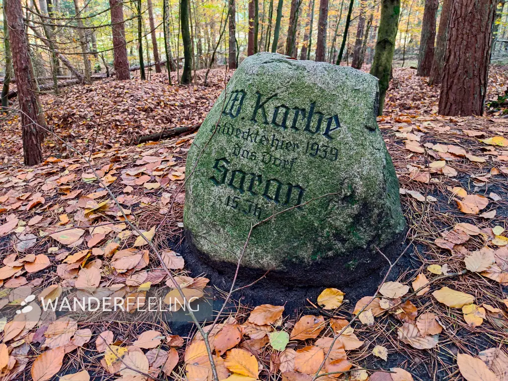 202311060-28 - Gedenkstein im Müritz-Nationalpark bei Carpin, Mecklenburgische Seenplatte, Mecklenburg-Vorpommern, Deutschland