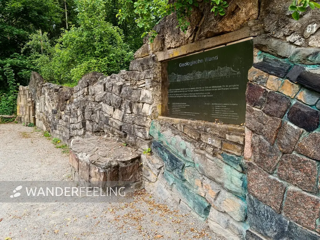 202506070-15 - Geologische Wand im Botanischen Volkspark Pankow, Berlin, Deutschland
