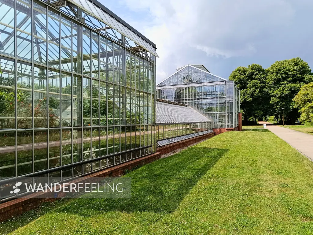 202506070-12 - Gewächshäuser im Botanischen Volkspark Pankow, Berlin, Deutschland