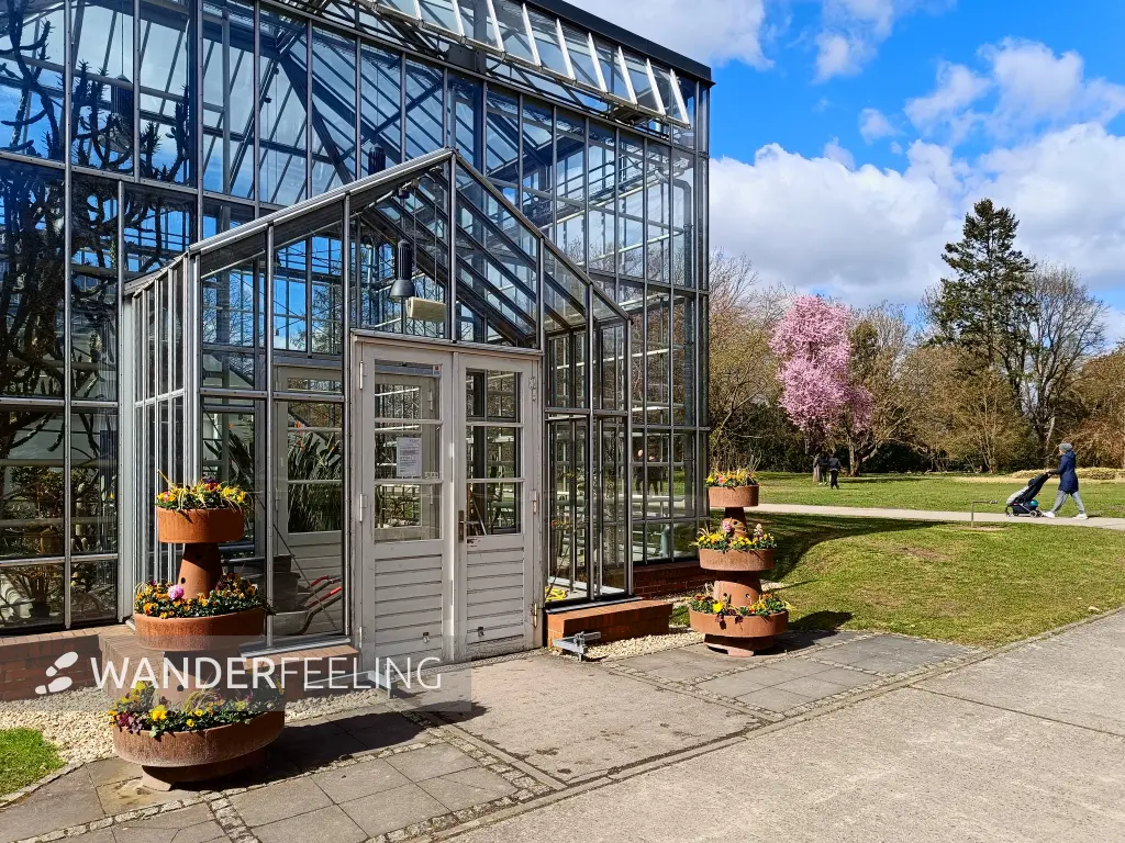 202604060-17 - Gewächshaus im Botanischen Volkspark Blankenfelde, Berlin, Deutschland