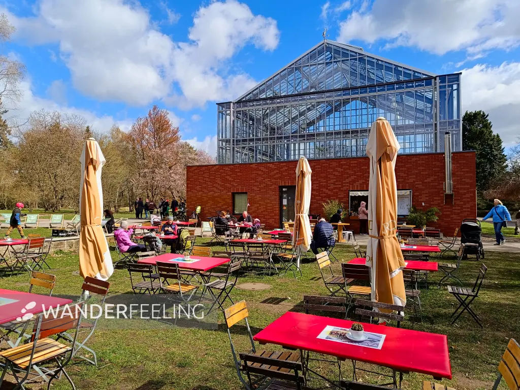 202604060-15 - Gewächshaus und Café im Botanischen Volkspark Blankenfelde, Berlin, Deutschland
