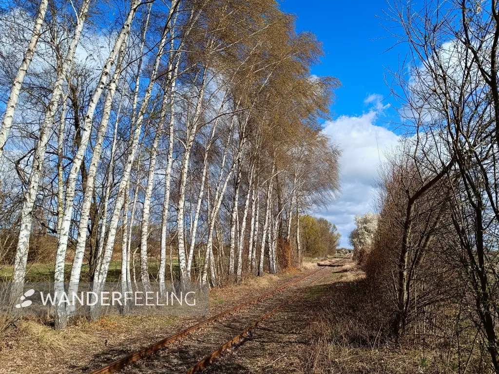 202604060-11 - Gleise der Heidekrautbahn bei Blankenfelde, Berlin, Deutschland
