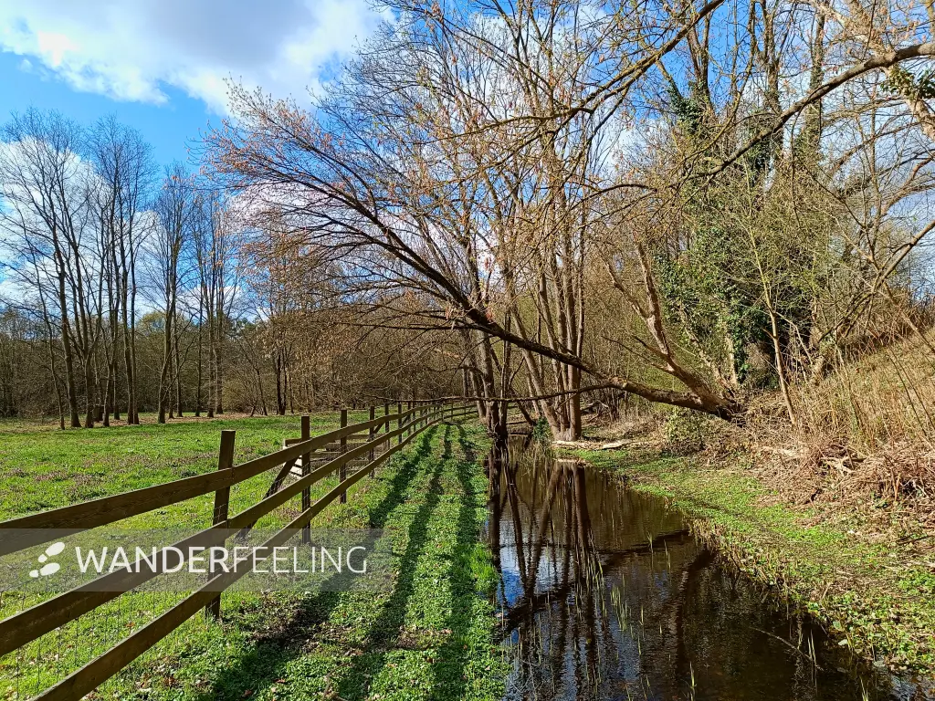 202604060-14 - Graben am Botanischen Volkspark Blankenfelde, Berlin, Deutschland