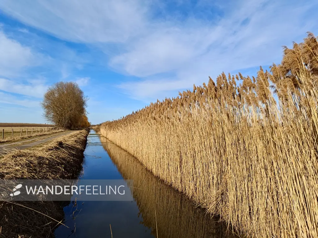 202603020-20 - Graben bei Phöben, Havelland, Brandenburg, Deutschland