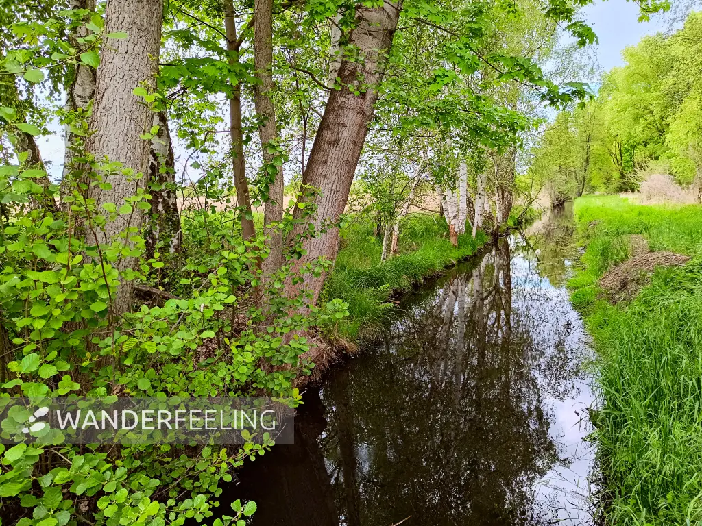 202505080-39 - Graben bei Treuenbrietzen, Fläming, Brandenburg, Deutschland
