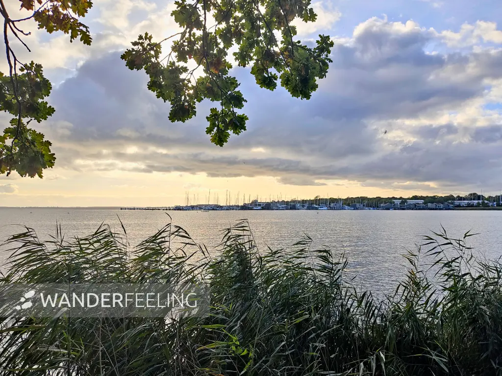 202310160-37 - Greifswalder Bodden bei Lauterbach, Rügen, Mecklenburg-Vorpommern, Deutschland