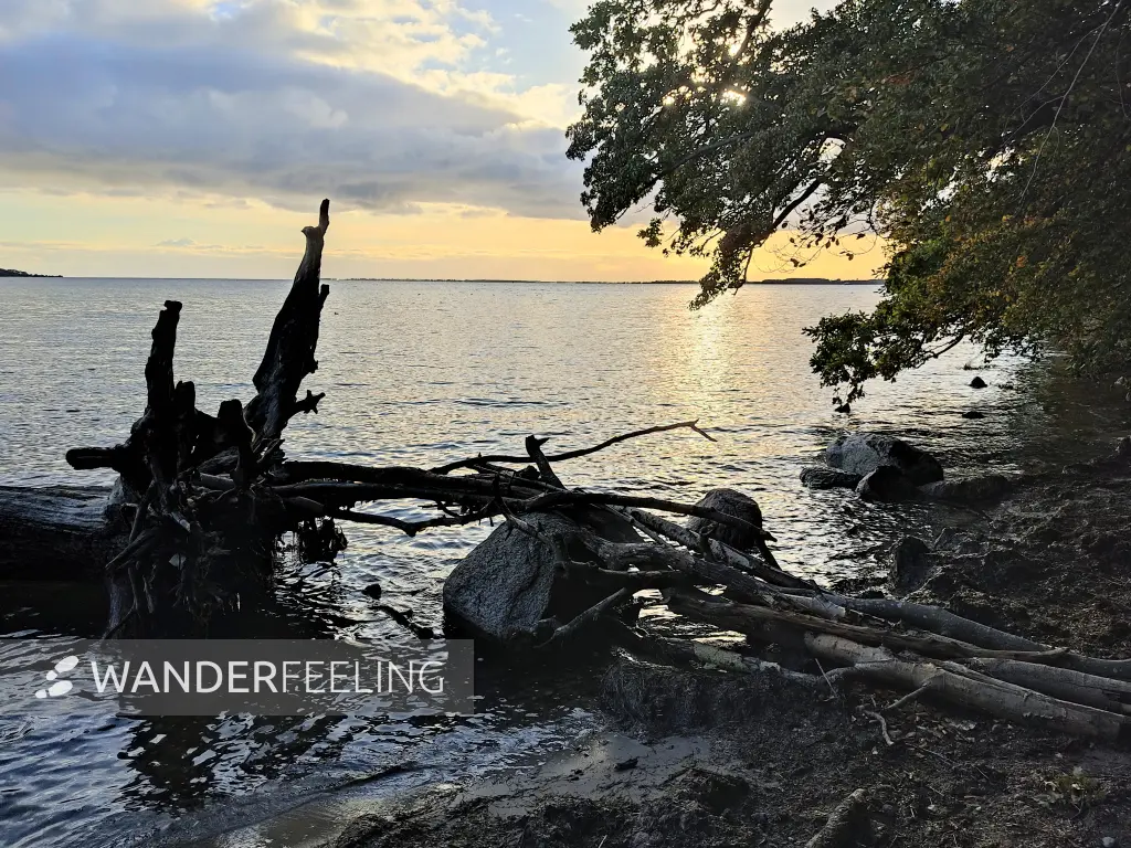 202310160-40 - Greifswalder Bodden bei Lauterbach, Rügen, Mecklenburg-Vorpommern, Deutschland