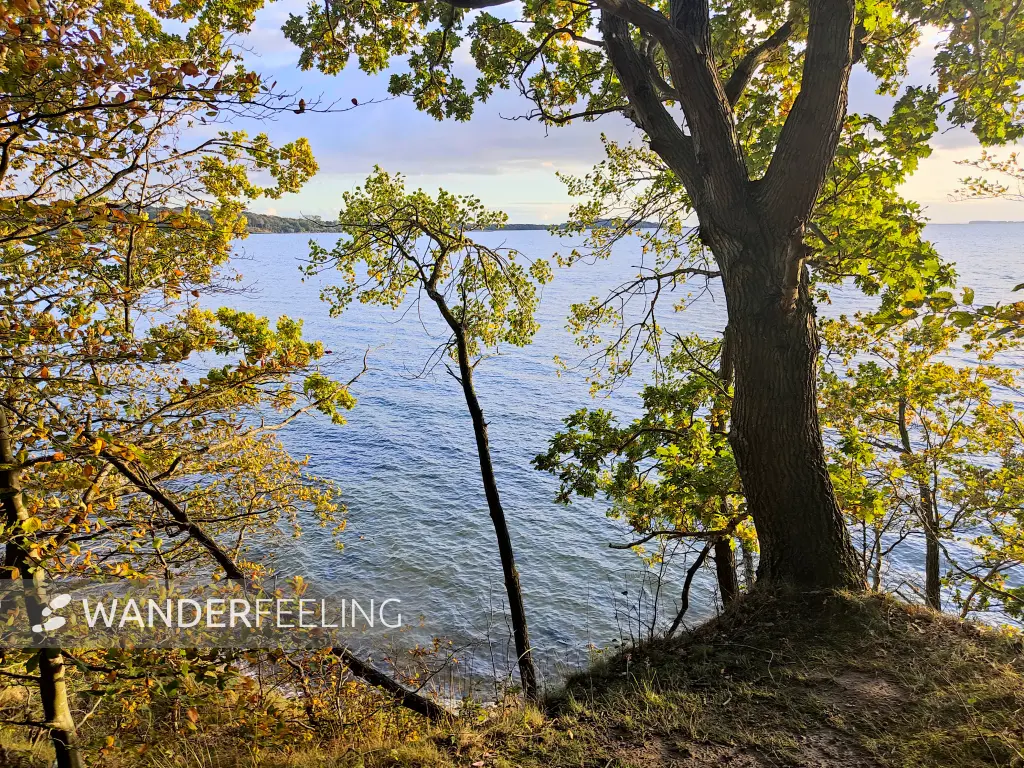 202310160-43 - Greifswalder Bodden bei Lauterbach, Rügen, Mecklenburg-Vorpommern, Deutschland