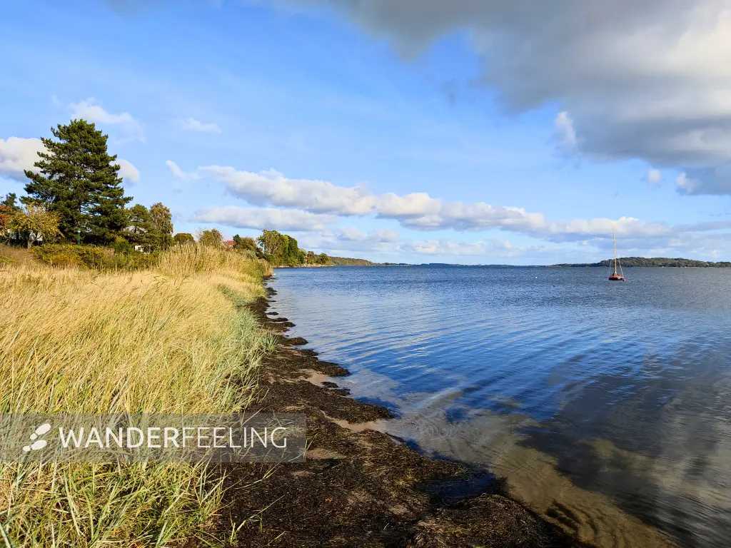 202310160-31 - Greifswalder Bodden bei Neuendorf, Rügen, Mecklenburg-Vorpommern, Deutschland
