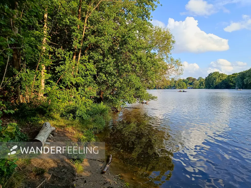 202507150-21 - Griebnitzsee, Berlin, Deutschland