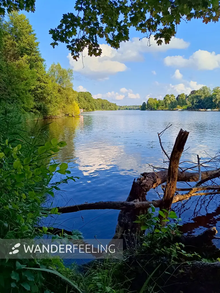 202507150-22 - Griebnitzsee, Berlin, Deutschland