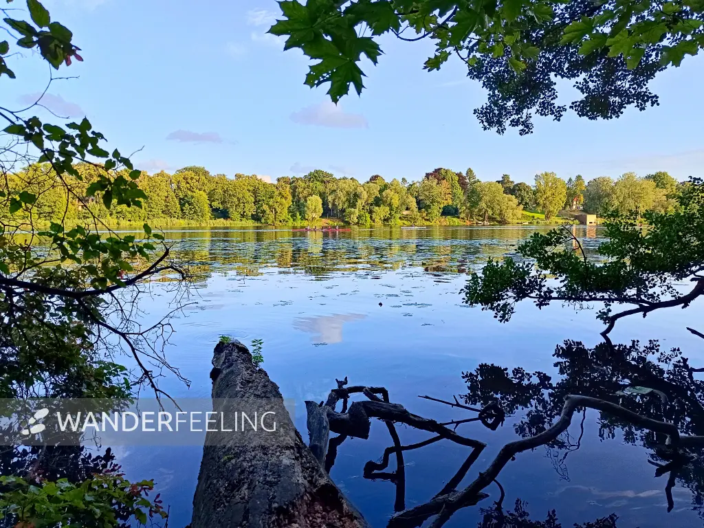 202507150-25 - Griebnitzsee, Berlin, Deutschland