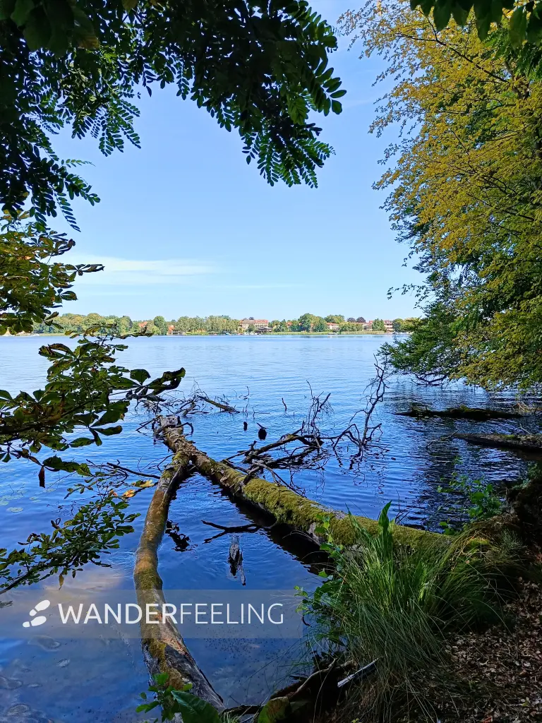 202508110-15 - Grienericksee bei Rheinsberg, Ruppiner Seenland, Brandenburg, Deutschland