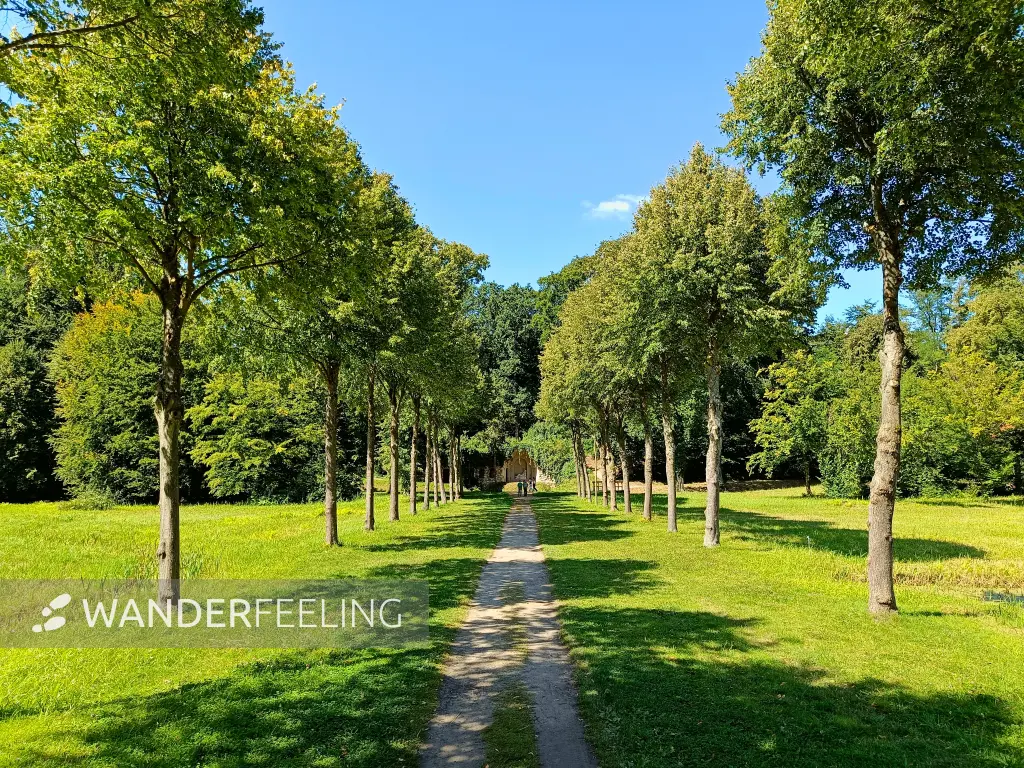 202508110-04 - Großer Damm im Schlosspark Rheinsberg, Ruppiner Seenland, Brandenburg, Deutschland
