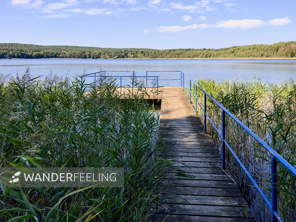 202309160-08 - Großer Glubigsee bei Wendisch Rietz, Seenland Oder-Spree, Brandenburg, Deutschland