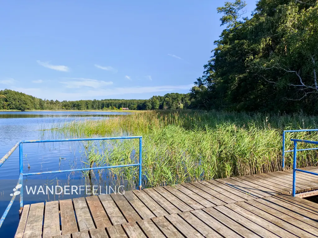 202309160-09 - Großer Glubigsee bei Wendisch Rietz, Seenland Oder-Spree, Brandenburg, Deutschland