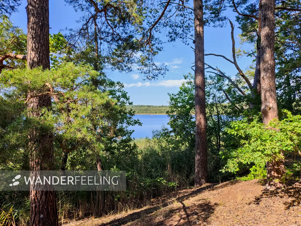 202309160-10 - Großer Glubigsee bei Wendisch Rietz, Seenland Oder-Spree, Brandenburg, Deutschland