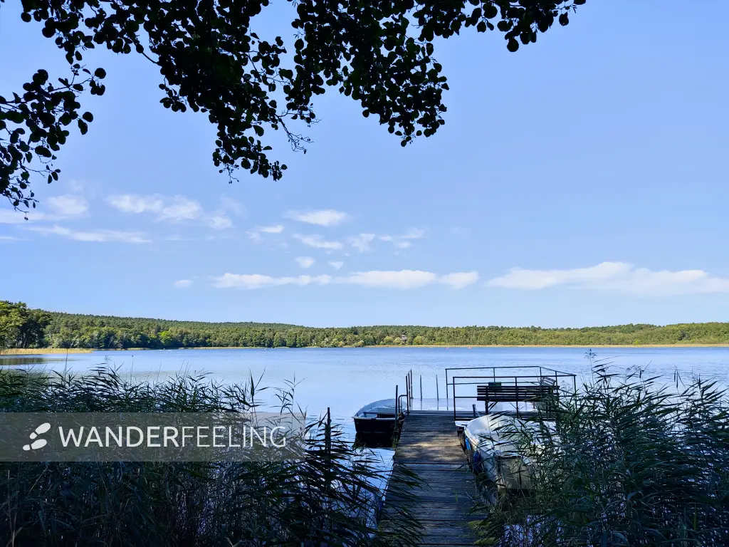 202309160-12 - Großer Glubigsee bei Wendisch Rietz, Seenland Oder-Spree, Brandenburg, Deutschland