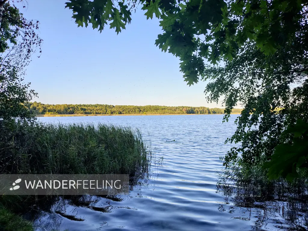 202309160-34 - Großer Glubigsee bei Wendisch Rietz, Seenland Oder-Spree, Brandenburg, Deutschland