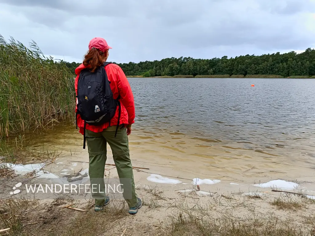 202508230-22 - Großer Kolpiner See an den Rauener Bergen, Seenland Oder-Spree, Brandenburg, Deutschland