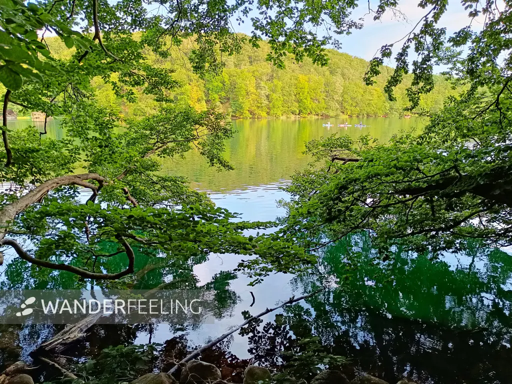 202407190-69 - Großer Luzin bei Feldberg, Mecklenburgische Seenplatte, Mecklenburg-Vorpommern, Deutschland