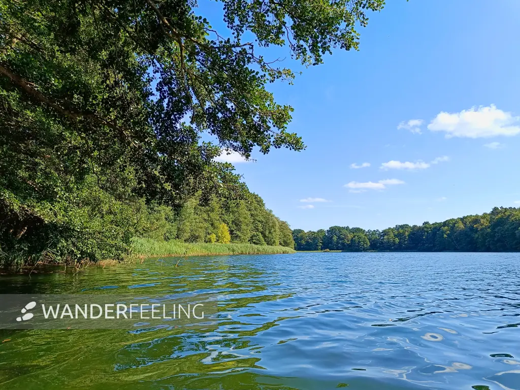 202508160-20 - Großer Mahlgastsee bei Röddelin, Uckermark, Brandenburg, Deutschland