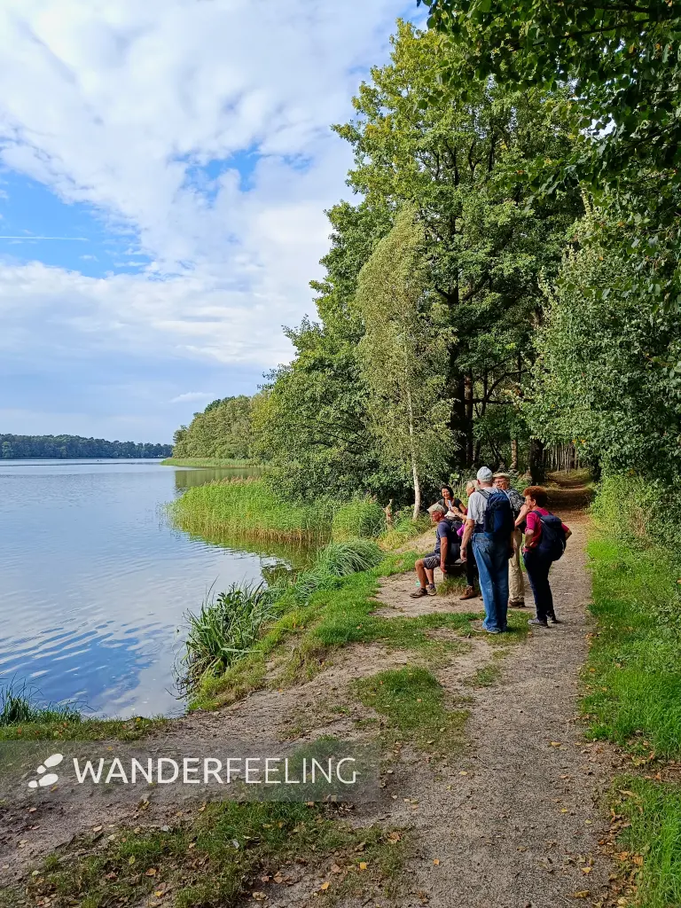 202509210-23 - Großer Müllroser See bei Müllrose, Seenland Oder-Spree, Brandenburg, Deutschland