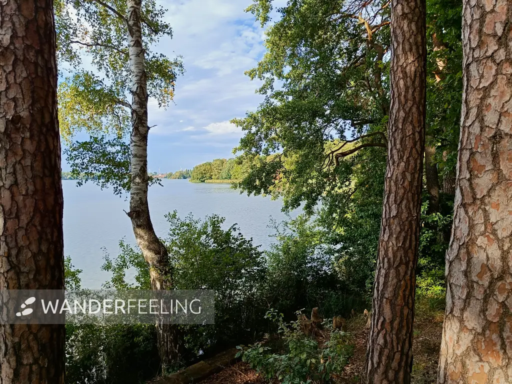 202509210-25 - Großer Müllroser See bei Müllrose, Seenland Oder-Spree, Brandenburg, Deutschland