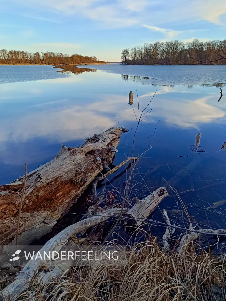 202603020-29 - Großer Plessower See bei Werder, Havelland, Brandenburg, Deutschland