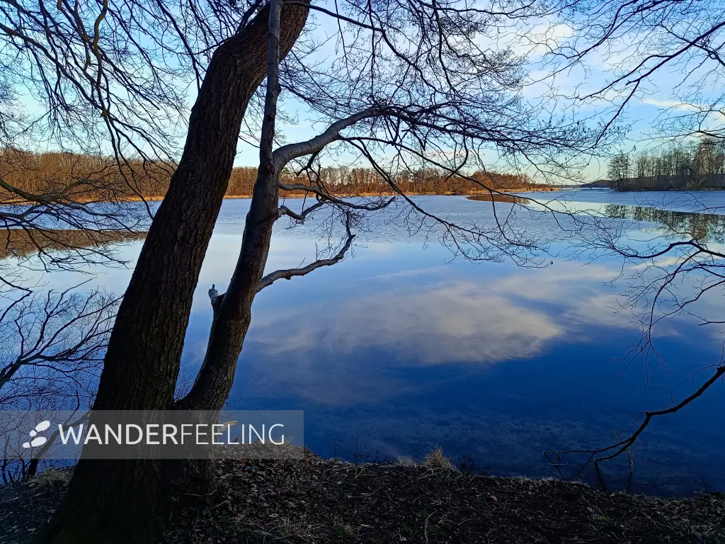 202603020-30 - Großer Plessower See bei Werder, Havelland, Brandenburg, Deutschland