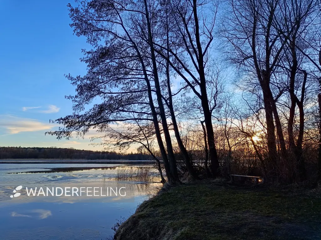 202603020-33 - Großer Plessower See bei Werder, Havelland, Brandenburg, Deutschland