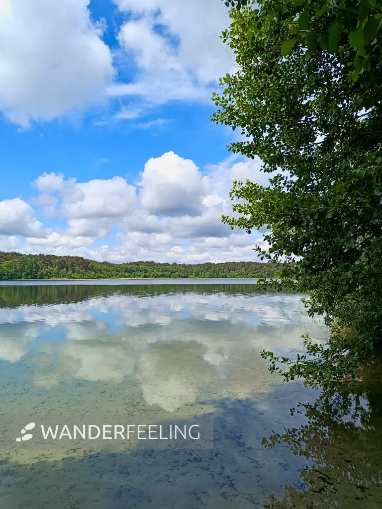 202606060-06 - Großer Weißer See bei Wesenberg, Mecklenburgische Seenplatte, Mecklenburg-Vorpommern, Deutschland