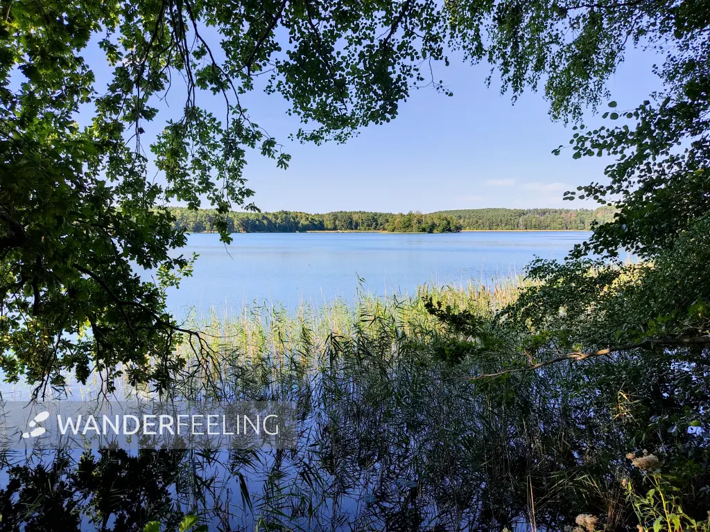 202309160-22 - Grubensee bei Limsdorf, Seenland Oder-Spree, Brandenburg, Deutschland