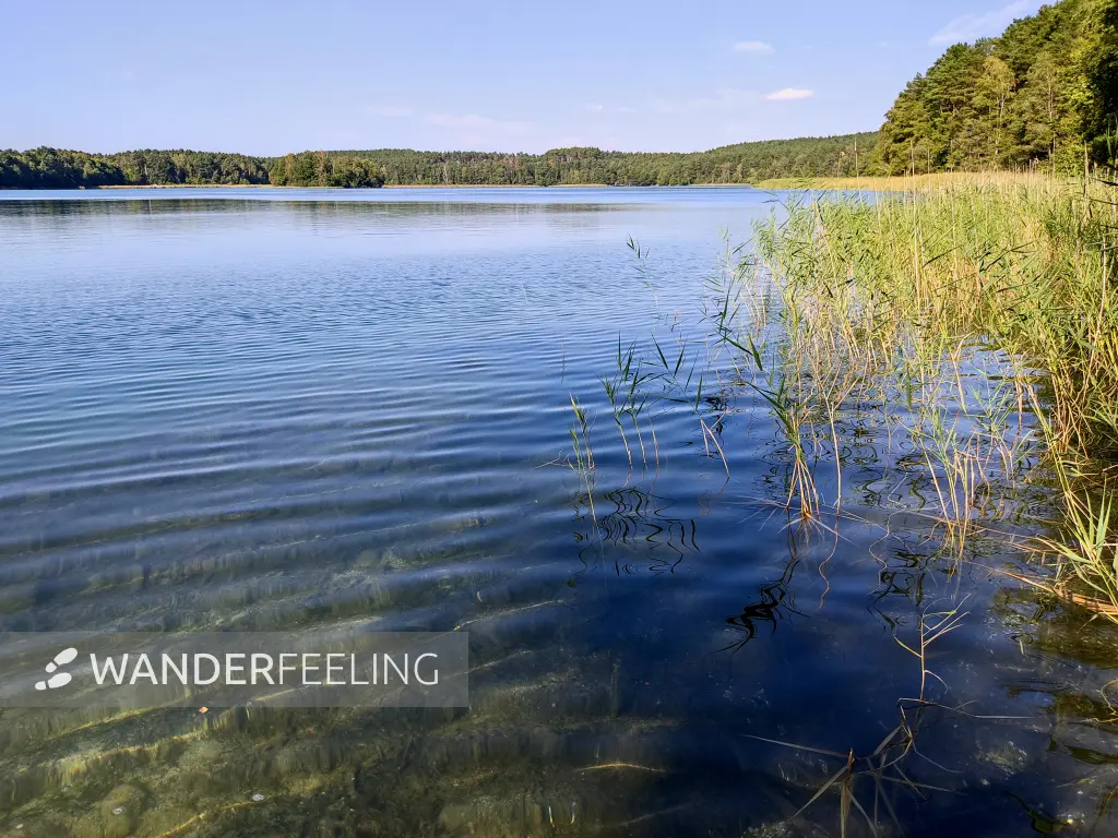 202309160-23 - Grubensee bei Limsdorf, Seenland Oder-Spree, Brandenburg, Deutschland