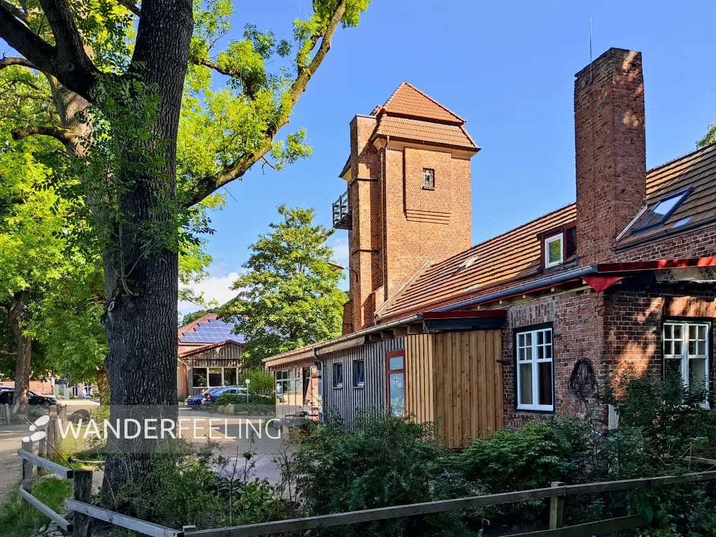 202308230-14 - Gut Wulfsdorf bei Ahrensburg, Schleswig-Holstein, Deutschland