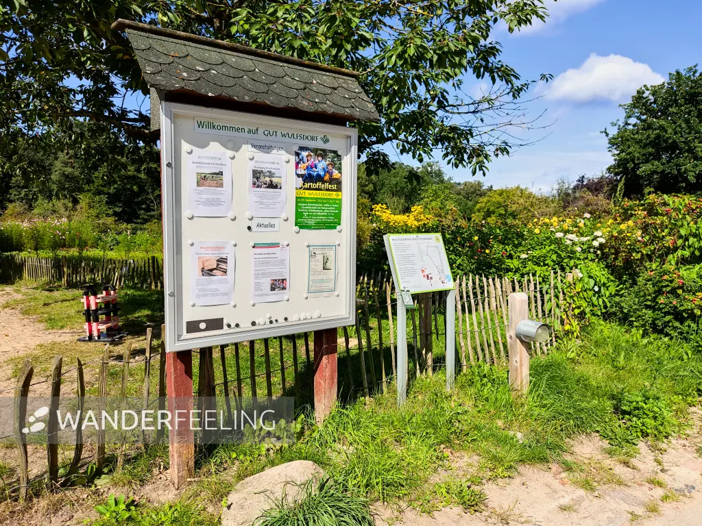 202308230-16 - Gut Wulfsdorf bei Ahrensburg, Schleswig-Holstein, Deutschland