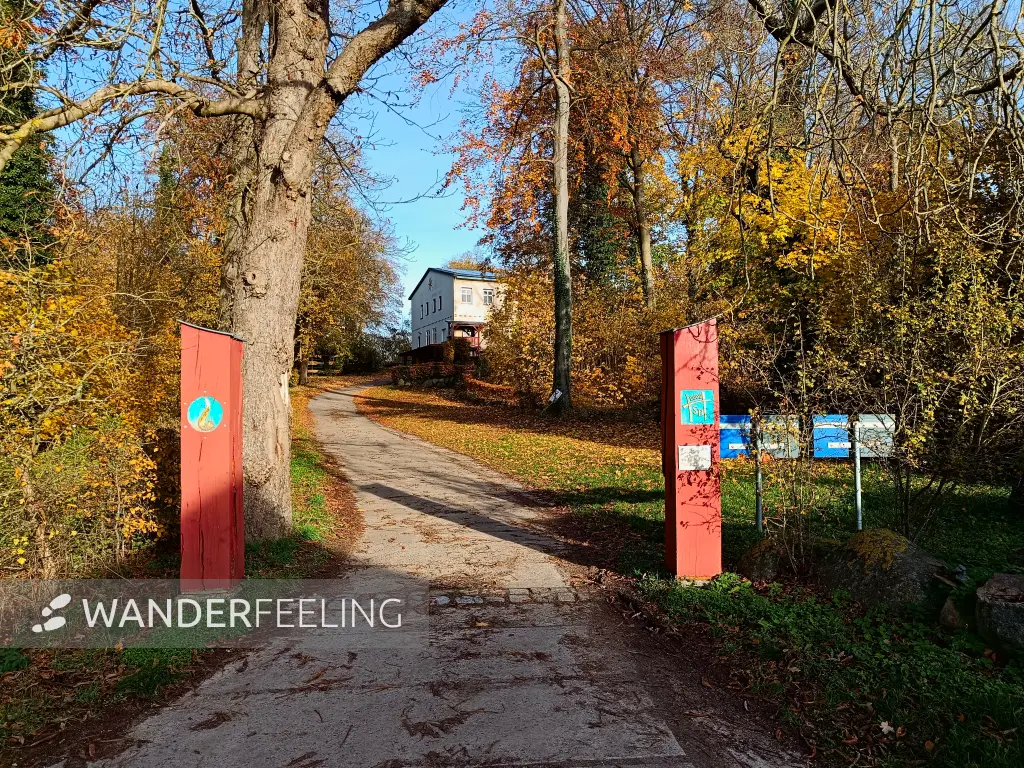 202511050-32 - Gutshof in Friedrichswalde, Mecklenburgische Seenplatte, Mecklenburg-Vorpommern, Deutschland