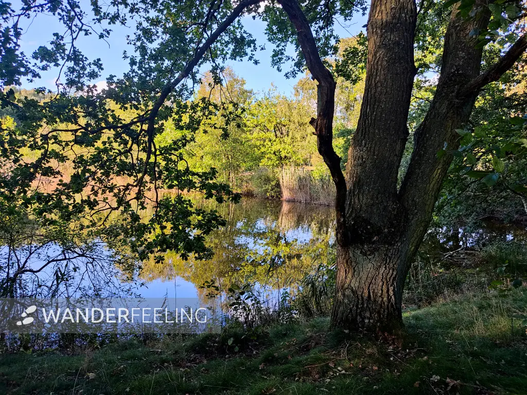 202309241-08 - Haarteich in der Boberger Niederung, Hamburg, Deutschland
