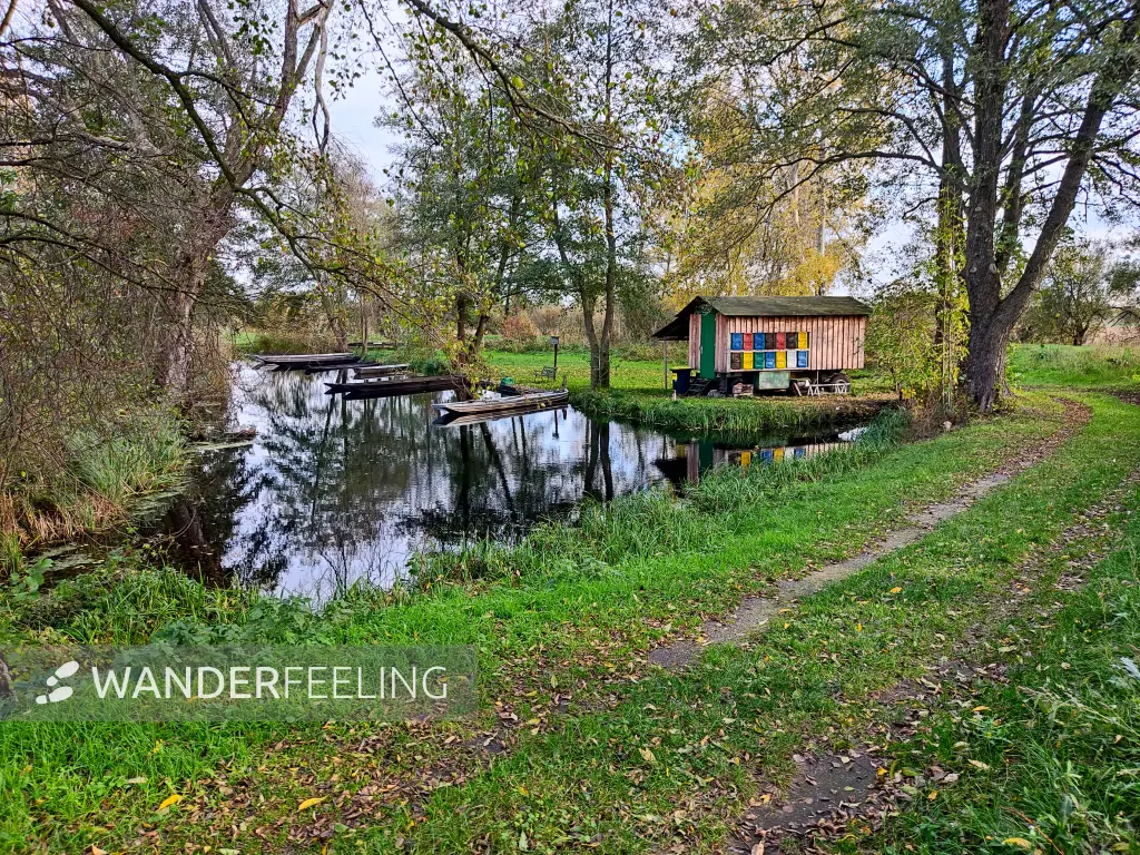 202311040-37 - Hafen am Südumfluter bei Boblitz, Spreewald, Brandenburg, Deutschland