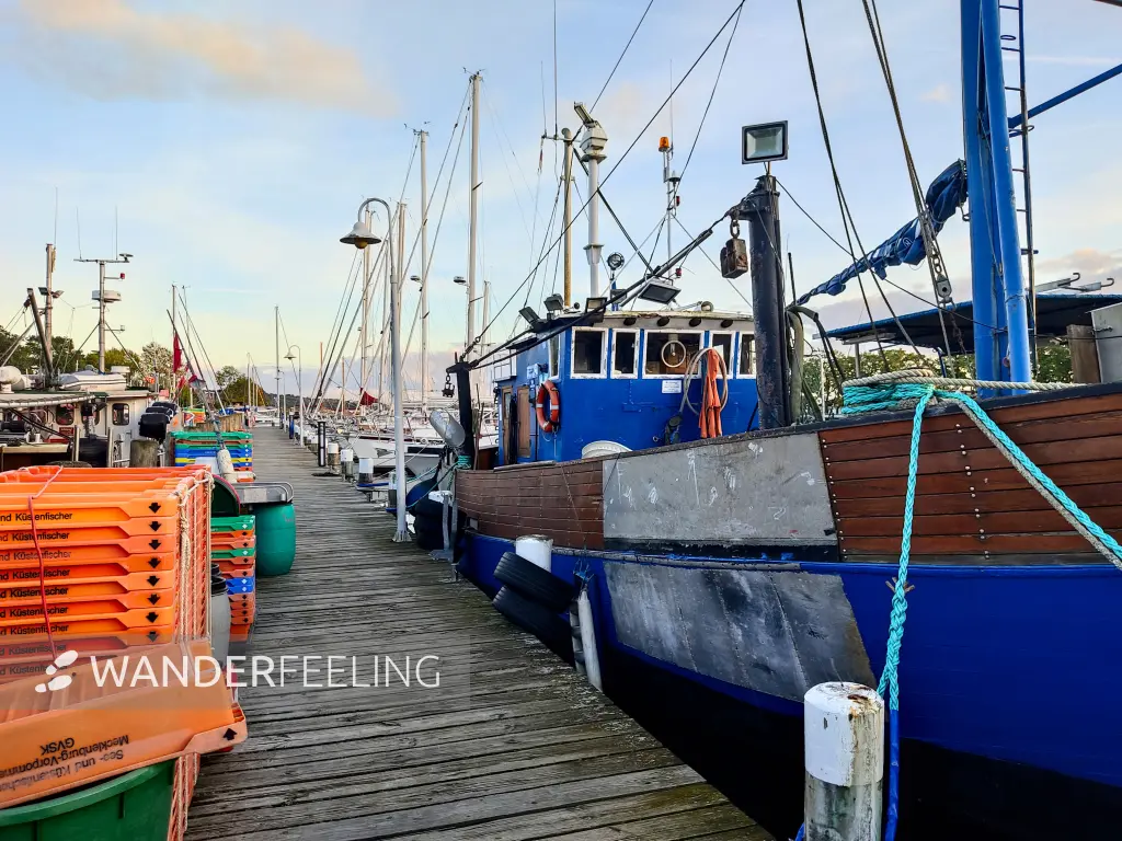 202310160-52 - Hafen in Lauterbach, Rügen, Mecklenburg-Vorpommern, Deutschland