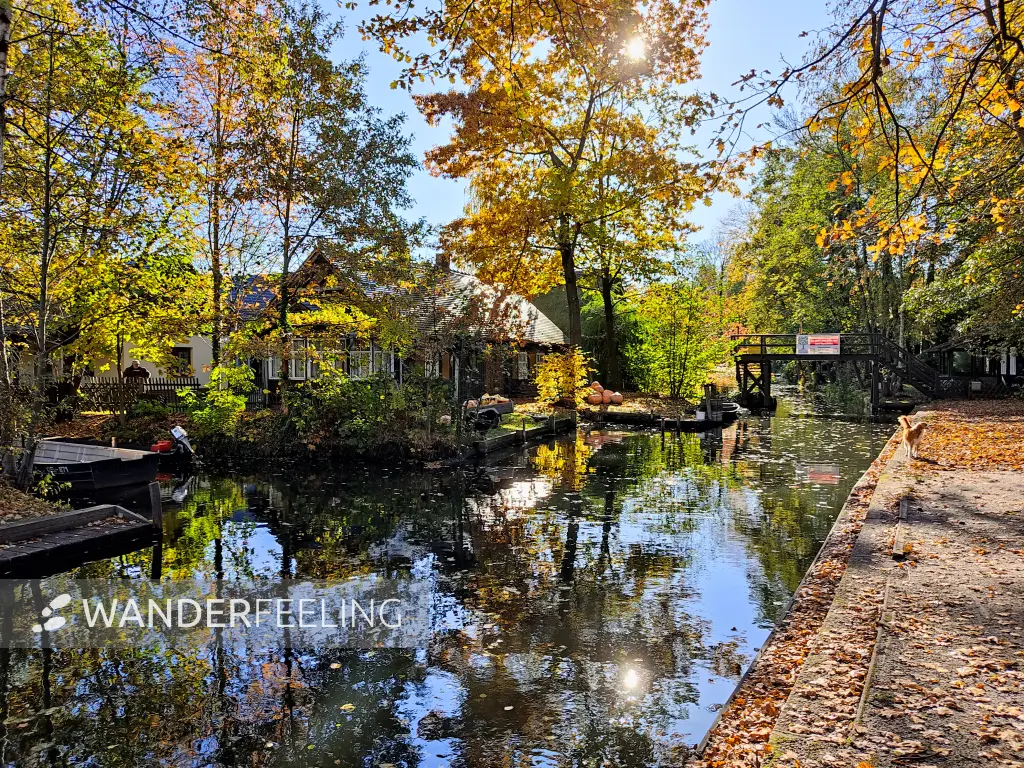 202311040-15 - Hafen in Lehde, Spreewald, Brandenburg, Deutschland